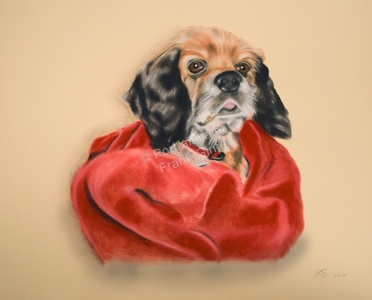 Ein Tiergemälde Pastellgemälde - Hundeportrait, Hundegemälde