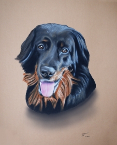 Ein Tiergemälde Pastellgemälde - Hundeportrait, Hundegemälde