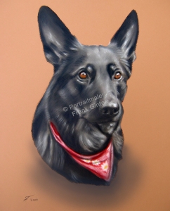 Ein Tiergemälde Pastellgemälde - Hundeportrait, Hundegemälde