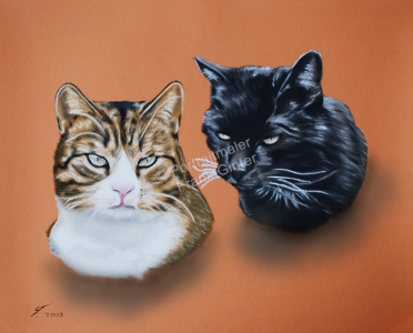 Ein Tiergemälde Pastellgemälde - Katzenportrait, Katzengemälde