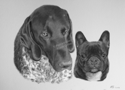 Bleistiftzeichnung von Hunden, Tierzeichnungen, Bleistiftzeichnungen, Tierportraits, Hundeportraits